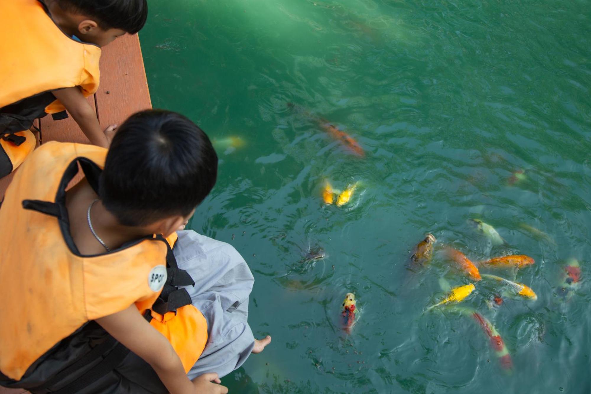 วังภูไพร ฟาร์มสเตย์ Wang Nam Khiao Exteriér fotografie